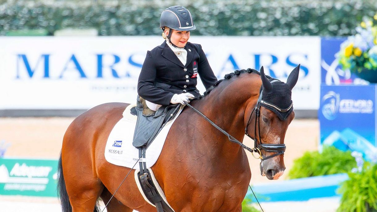 Sedgwick Countys Horse Deaths A Wake Up Call For Horse Owners - 3uvh8o5