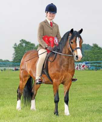 Most sensible running hunter pony Chetwynd Caspar has died