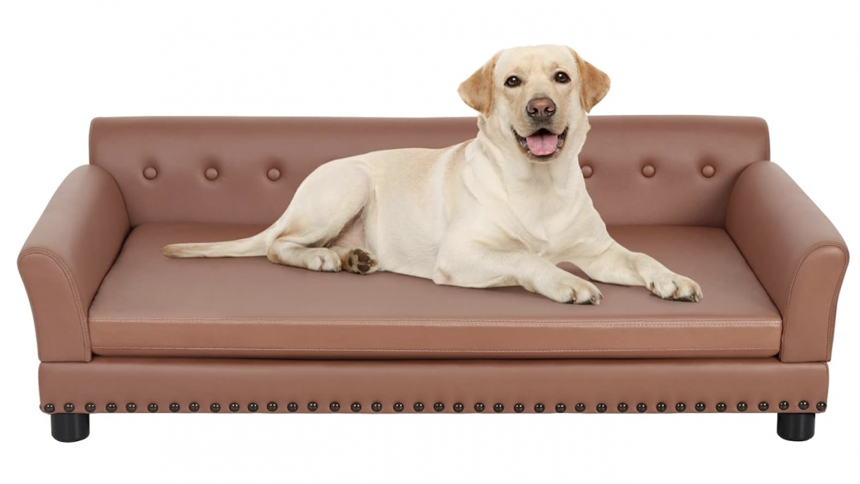 Best dog sofa beds fit for a fourlegged king Horse & Hound