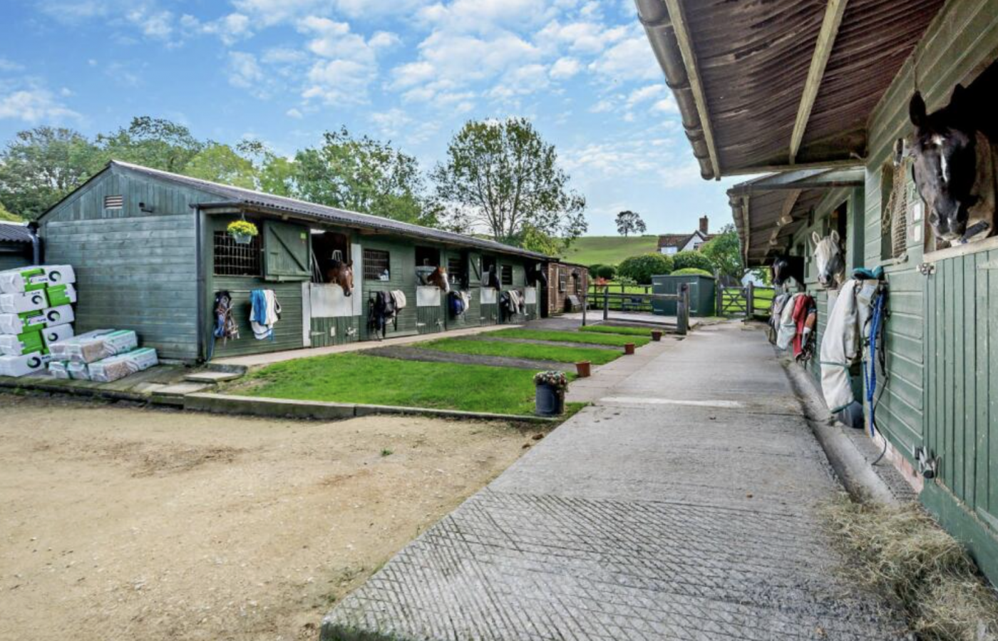 A circle of relatives house with 10 stables, area, horsewalker, lunge pen, canter observe and over 13 acres…