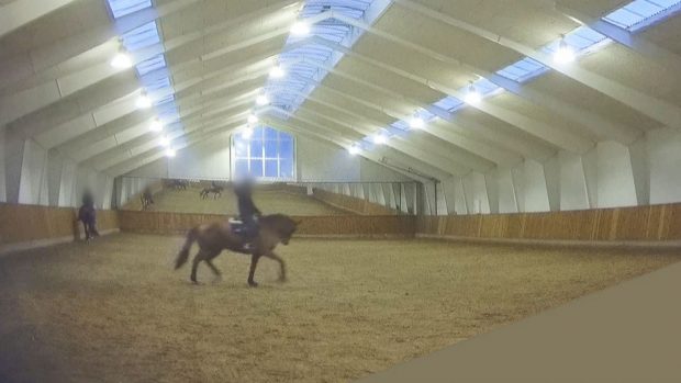 Pictured a still from Operation X hidden footage recorded at Helgstrand Dressage showing a horse in rollkur.