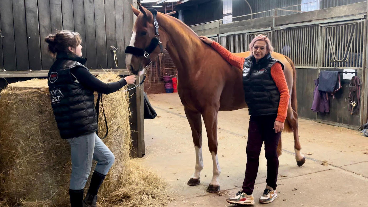 ‘This nation must develop a couple!’ New public sale to advertise British breeding