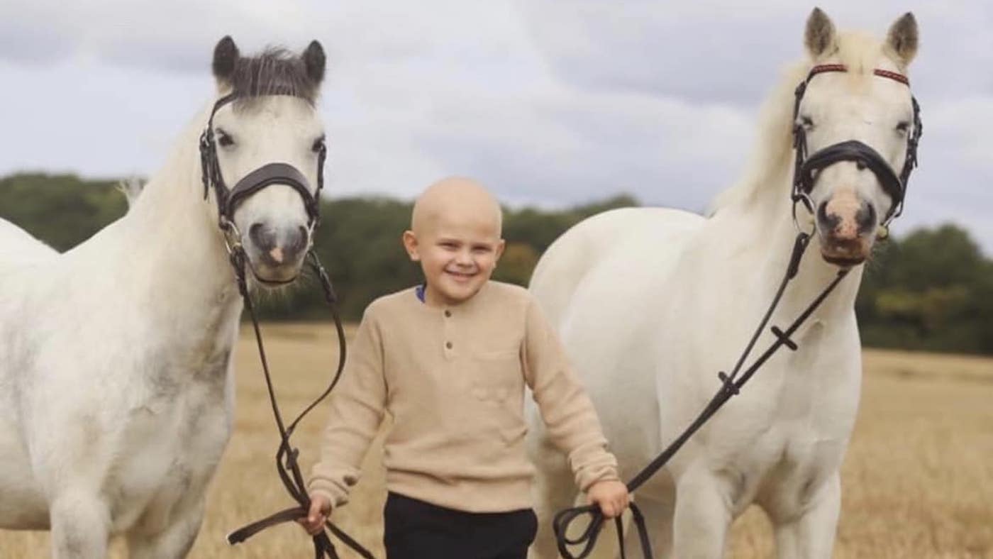 Younger rider who refuses to let most cancers forestall his dream receives particular invitation – and meets Valegro