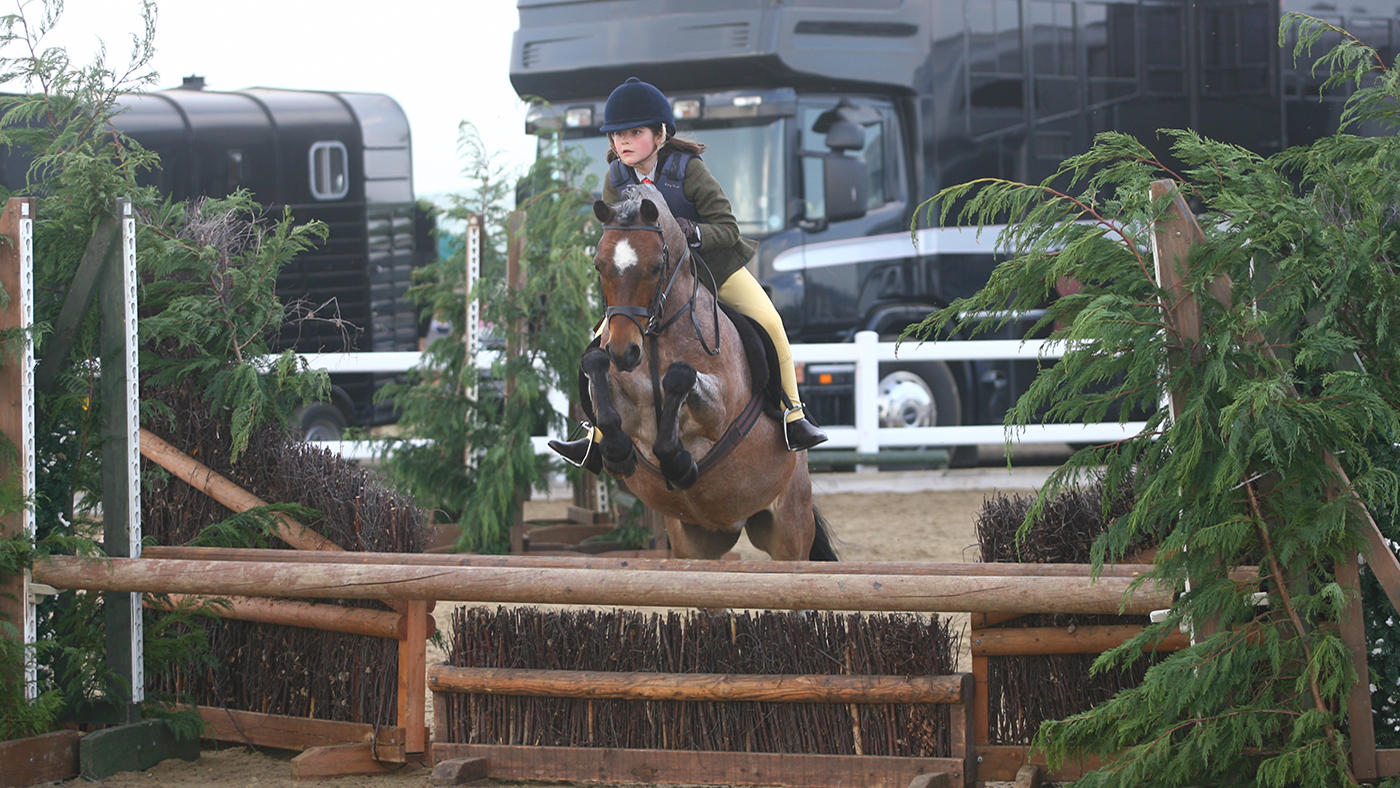 How to shop for a running hunter pony