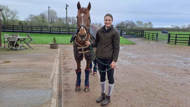 Taking your horse to university