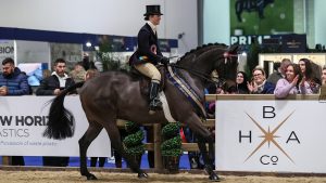 Amateur showing classes Rising Star hack champion Bassingfield Dark Secret at London International 2023