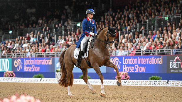 London International freestyle dressage results