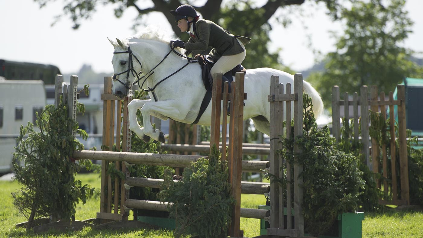 ‘The most important legend of all time’: farewell to pony who went to the highest