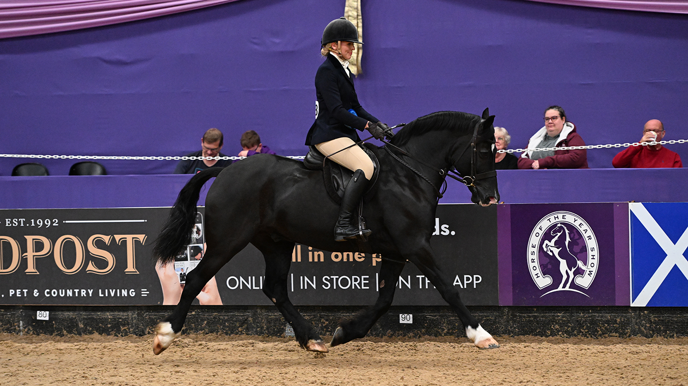 Meet novice running hunter rider Ellis Grierson