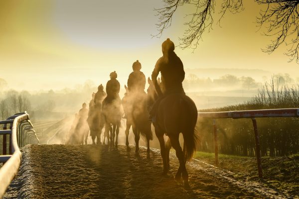 MP requires £12m to be diverted from prize cash to racehorse aftercare