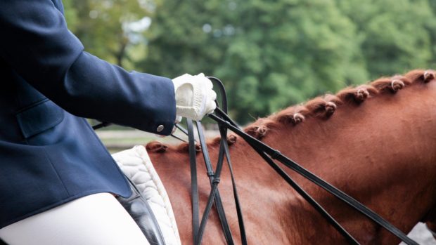 dressage judging bias