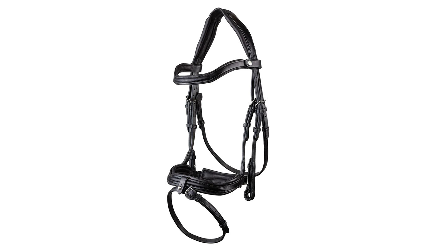 Ecorider Kilkenny v2.0 Bridle
