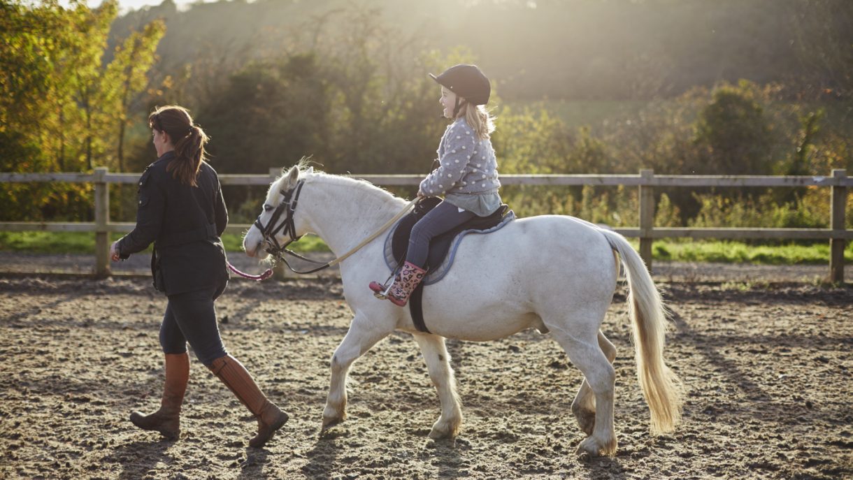 Improved optimism for the future of riding schools, but rates still a