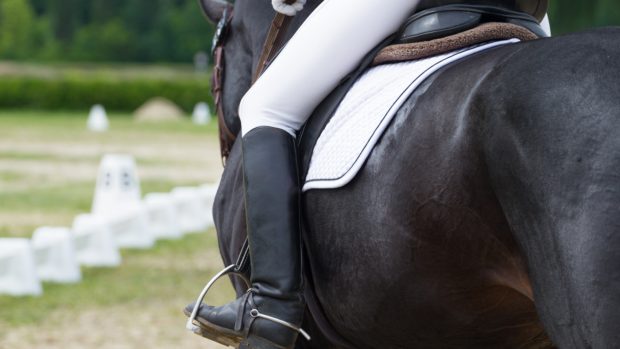 British Dressage has released its 2024 members' handbook incorporating new rules and changes to equine welfare policies. Pictured a horse and rider competing in dressage.
