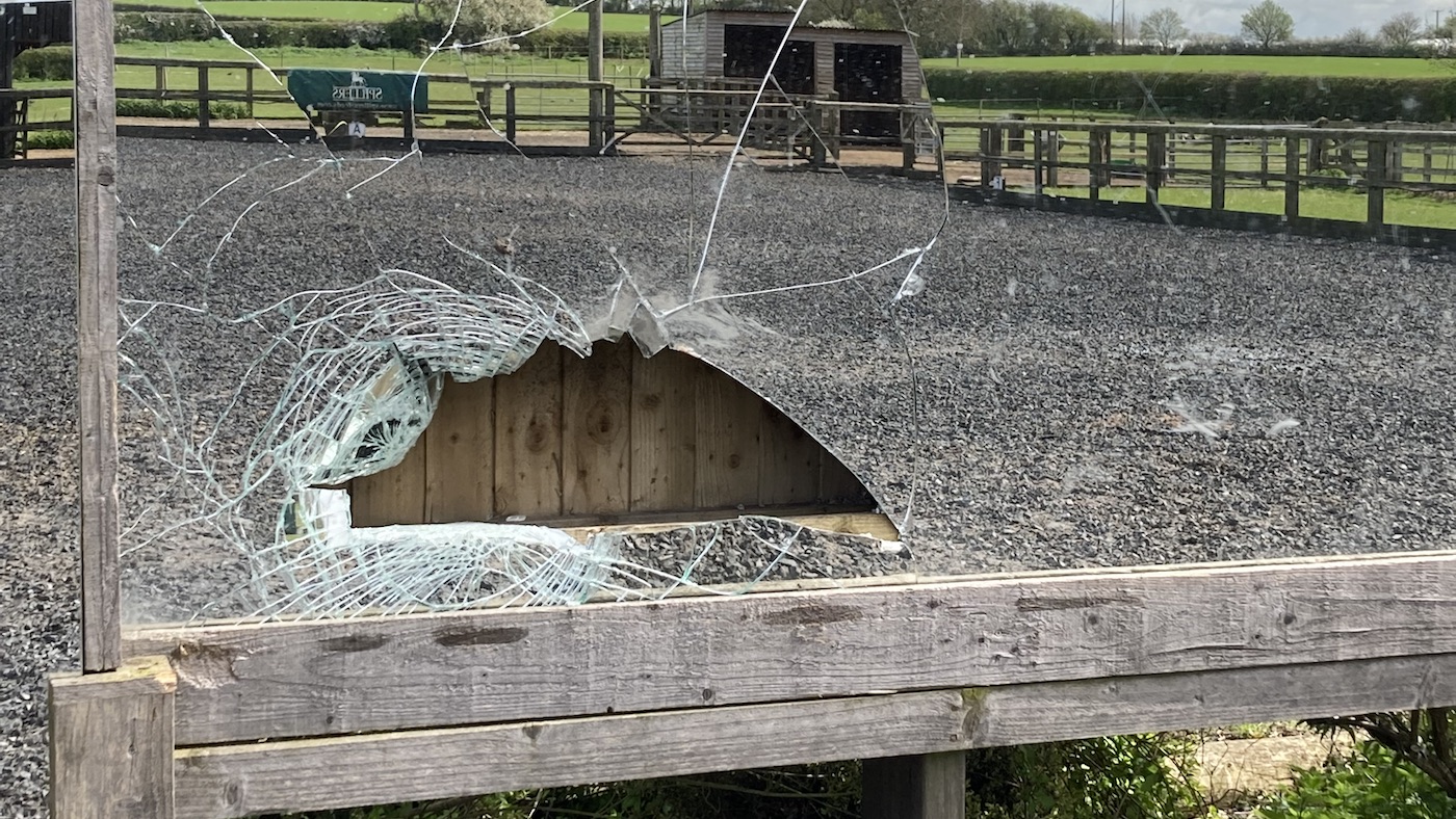 Owners of horse who severed leg on arena mirror call for better safety