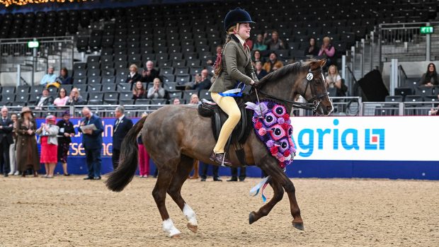 2023 SSADL ridden supreme championship