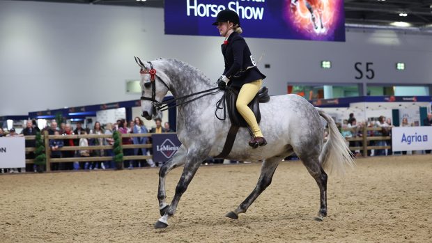 023 London International Horse Show showing results