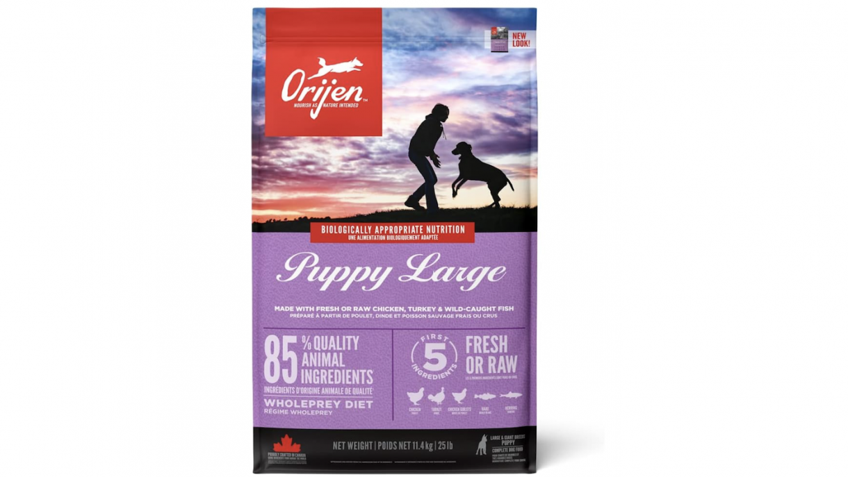 Best puppy foods for large breeds for healthy growth Horse & Hound