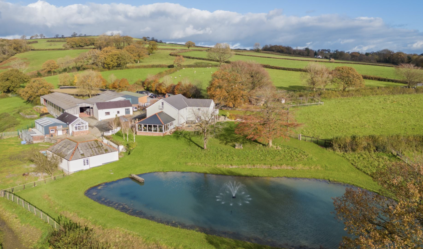 A placing circle of relatives house with 18 stables, outside enviornment and two lakes, in 52 acres
