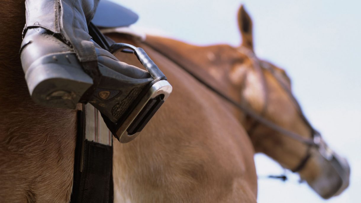 Suitably mounted what does it mean? Your views sought on tricky topic