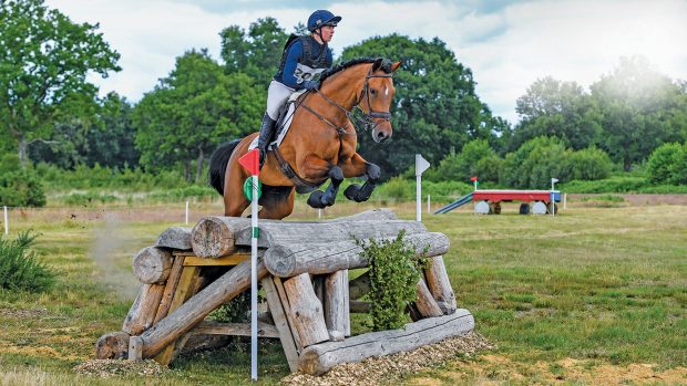 Hollywood Dancer recovers from serious injury to become broodmare