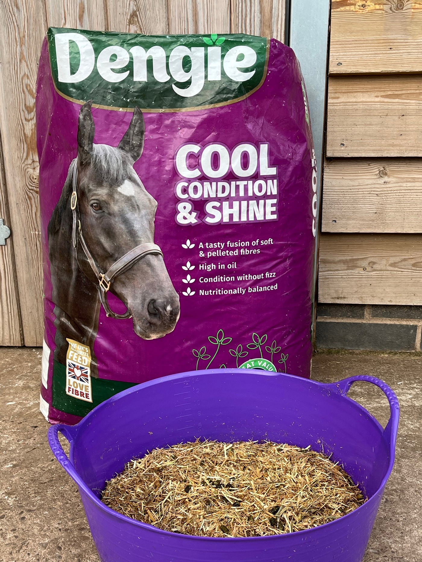 Dengie Cool Condition & Shine