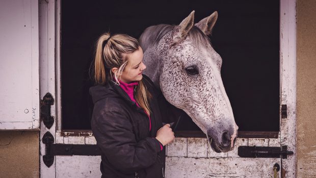 A grey horse looking over its stable door with owner looking on