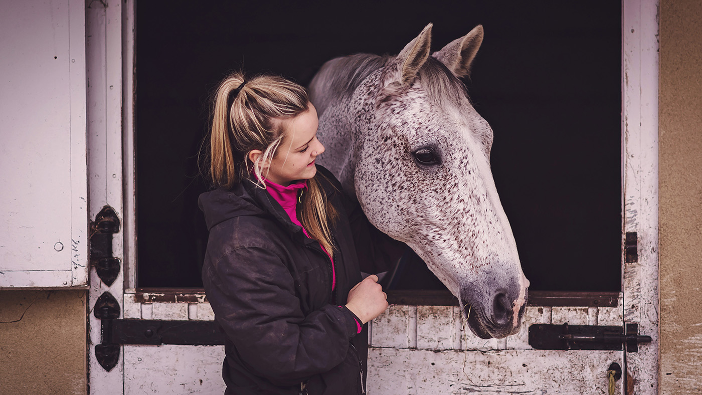 Choices to forage – what to do in case your hay or haylage isn’t proper to your horse *Promotion*