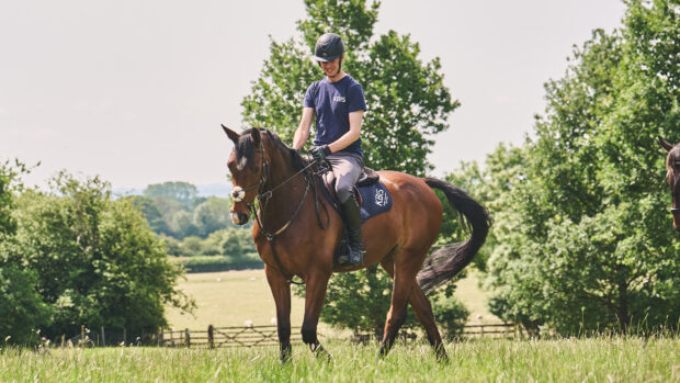 Man riding bay horse in a field, wearing a pair of long riding boots