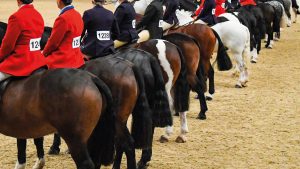 There have been mixed reactions to the HOYS 2024 judging announcement. Pictured a judging line-up at HOYS.