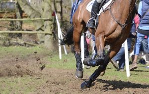 Should a member of the eventing ground jury be in the riders’ tent?