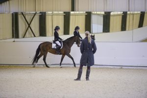 Sharing a horse with your child