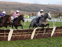 Lossiemouth wins at Cheltenham under Paul Townend for trainer Willie Mullins, which race will she target at the Cheltenham Festival?