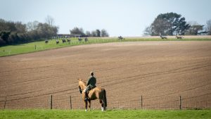 Charing Point-to-Point course