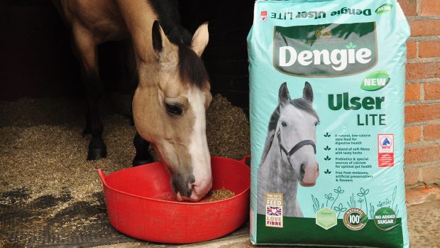 Dengie Ulser Lite feed