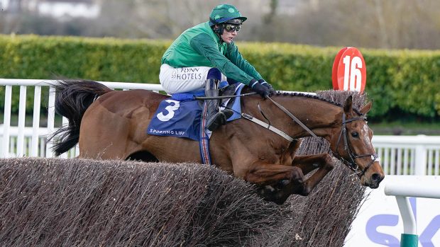 El Fabiolo, en-route to winning the Arkle at the 2023 Cheltenham Festival. He is favourite for this year's Betway Champion Chase.