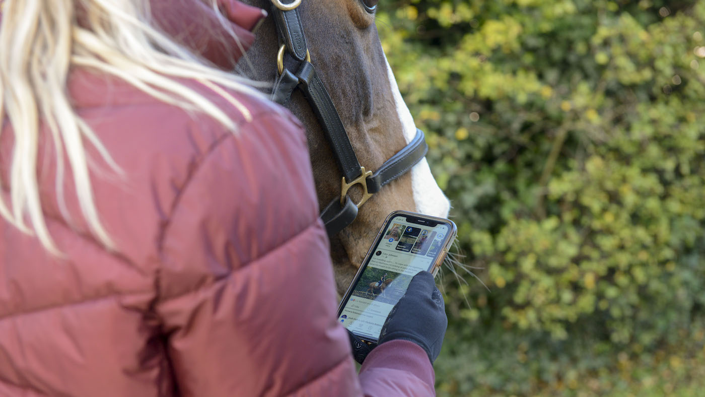 ветеринар и лошадь. сап лошадей ветеринария. можно узнать что жеребец бесплоден. термометрия лошади. проверить лошадь.