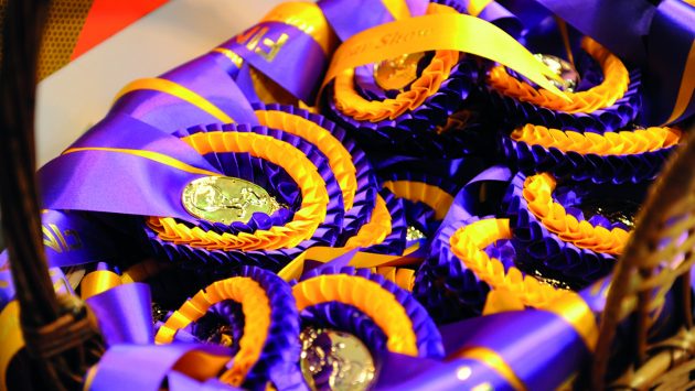 New HOYS 2024 appearing ultimate for junior riders