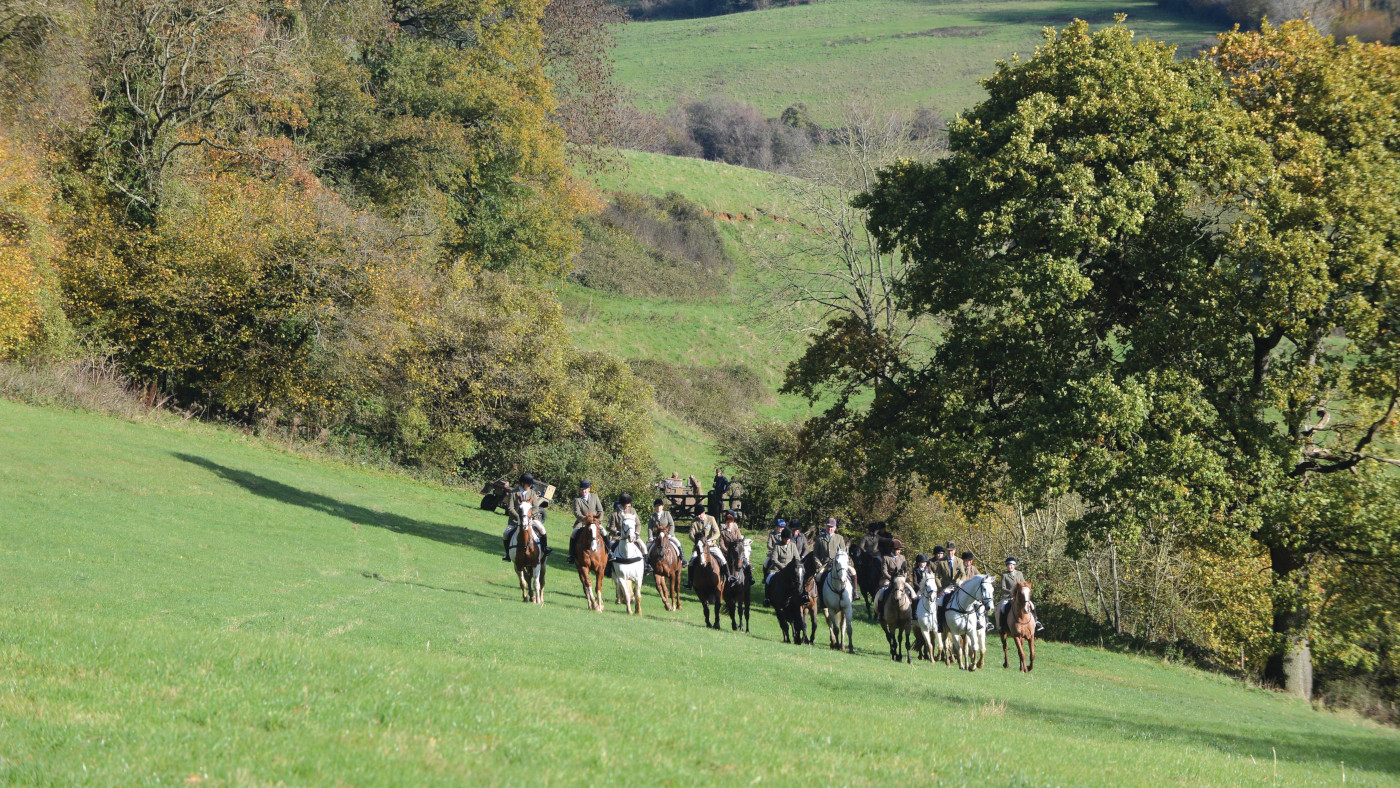 Rural group suggested to behave as Labour pledges complete looking ban
