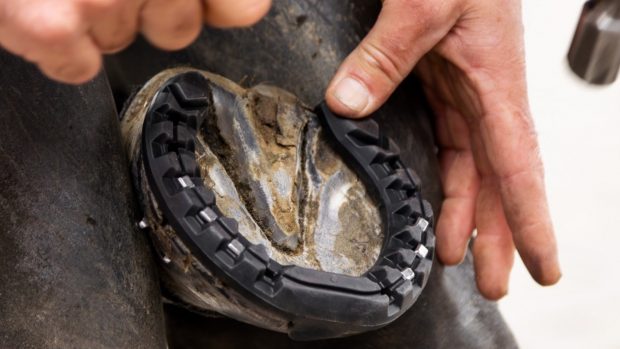 equishox vulacnised rubber racing horse shoes