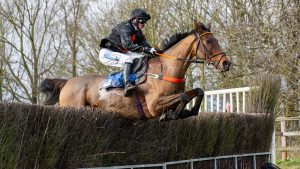 Keagan Kirkby riding Imperial Espirit at the Thurlow Hunt Point-to-Point on 31 December 2023.