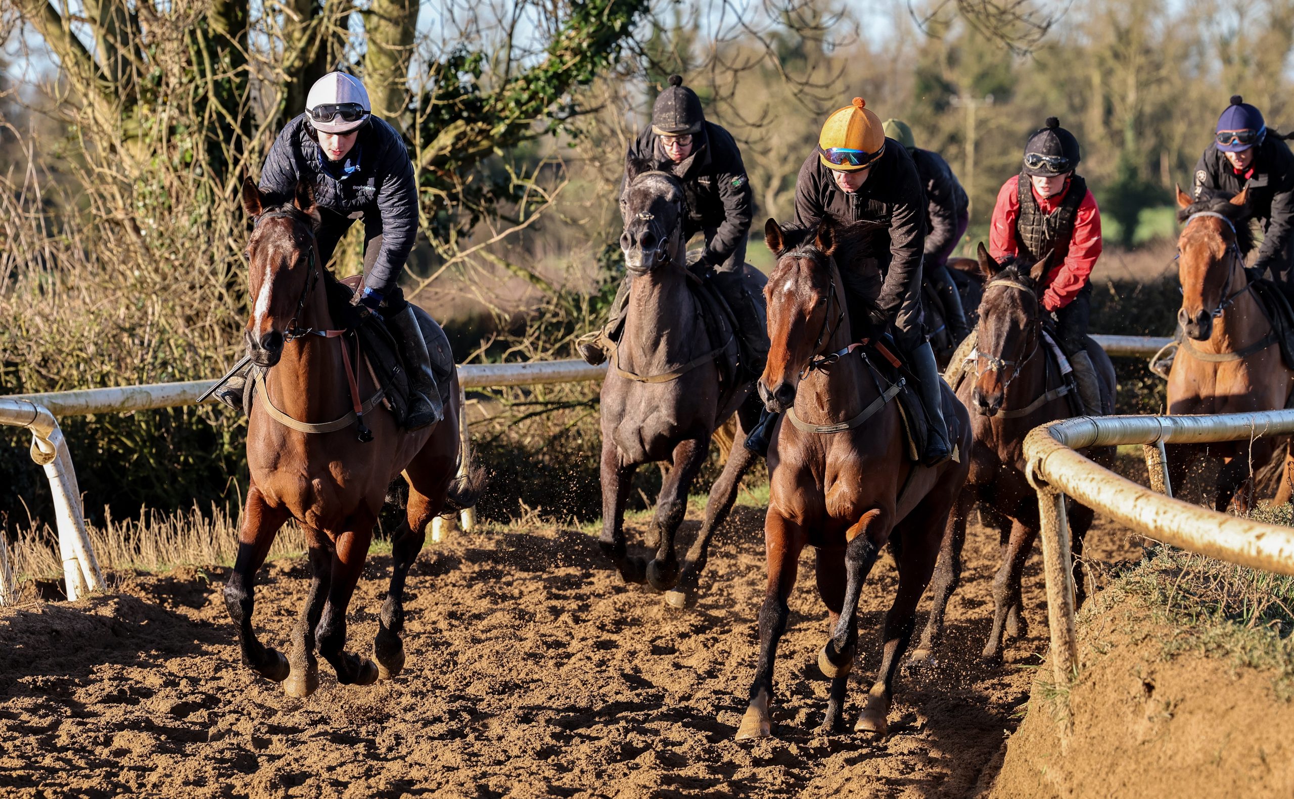 The Shark Hanlon-trained Hewick in action on the gallops at home under 16-year-old Paddy Hanlon