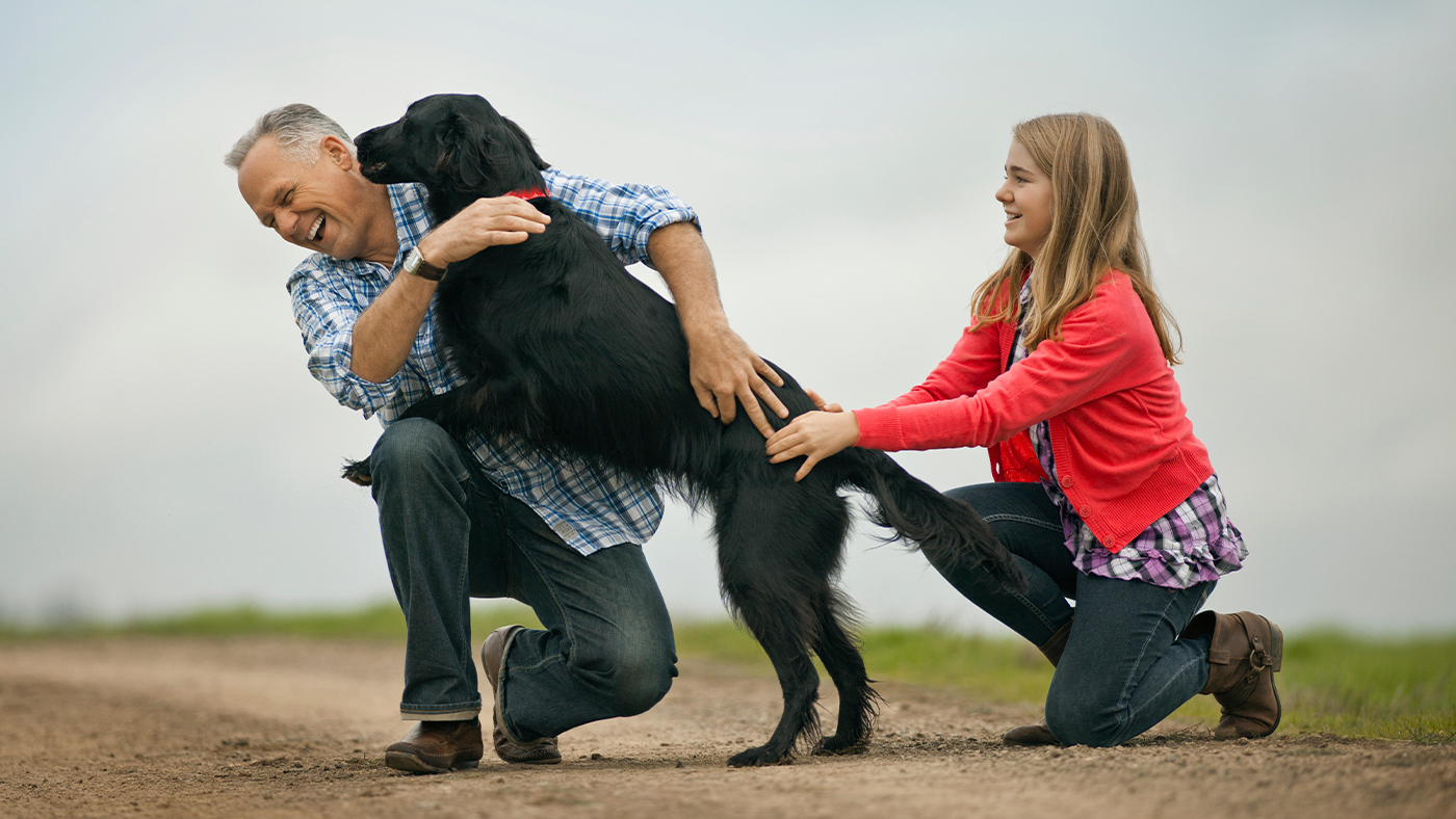 Why do dogs jump up at you? An expert explains Horse & Hound