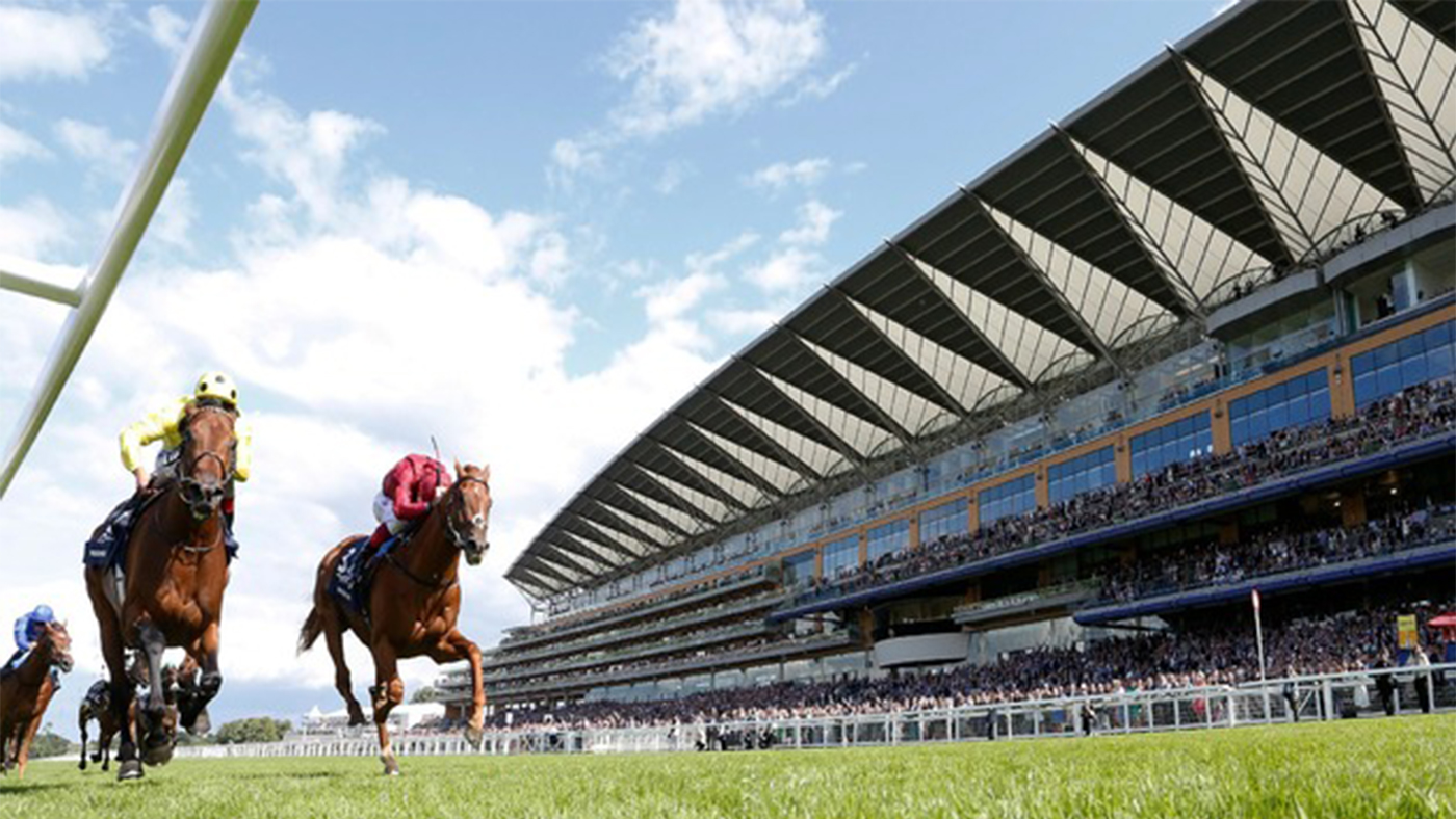 Day at the races and overnight stay for two