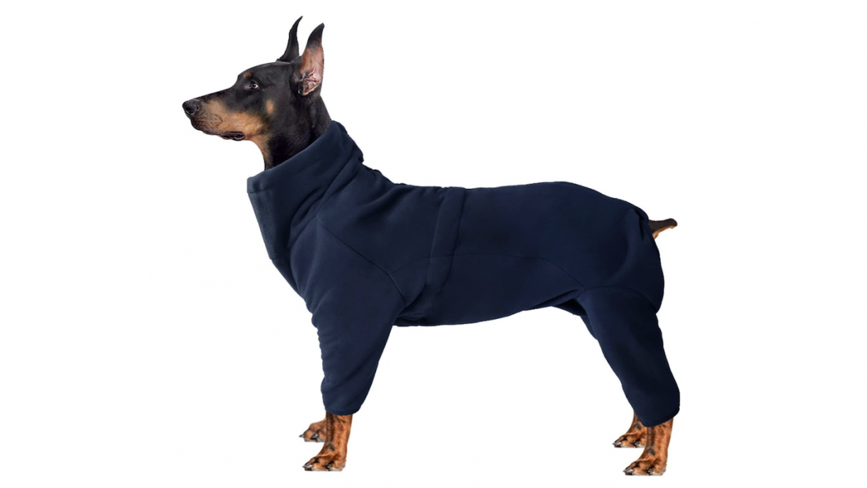 Best fleeces for dogs to keep them cosy Horse & Hound