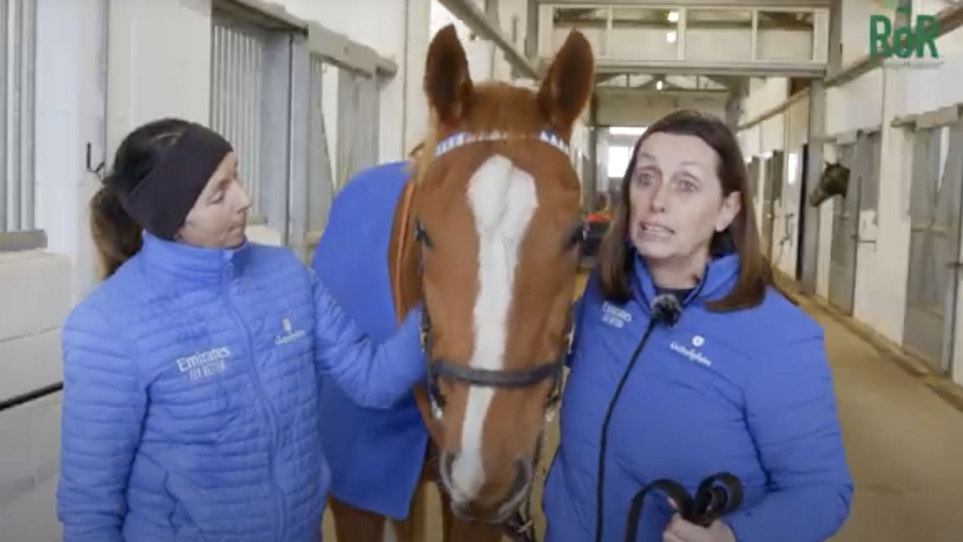 Gold Cup winner Papineau who became therapy horse dies age 24