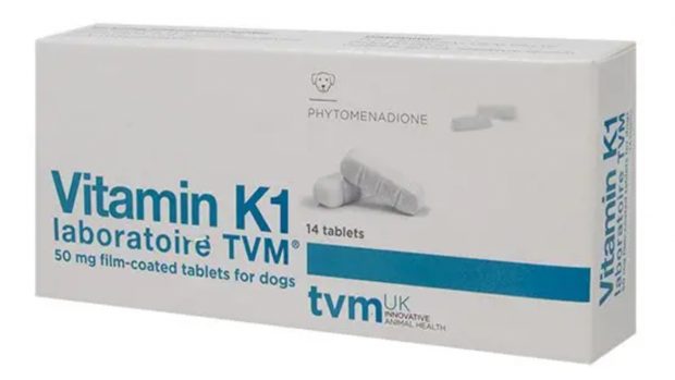 Picture of Best vitamins for dogs following veterinary advice | Horse & Hound