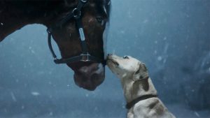 Budweiser Super Bowl commercial, the Clydesdales return