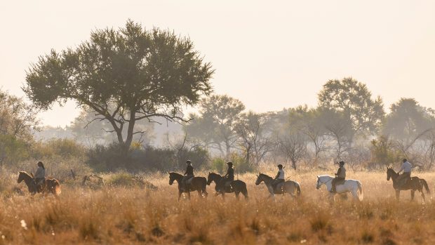 Horseback safari scene