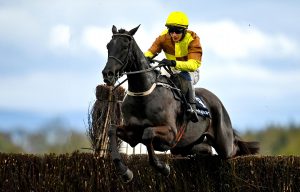 Galopin Des Champs is the favourite for the 2024 Boodles Cheltenham Gold Cup